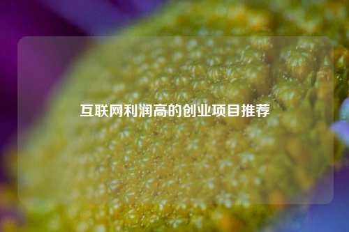 互联网利润高的创业项目推荐