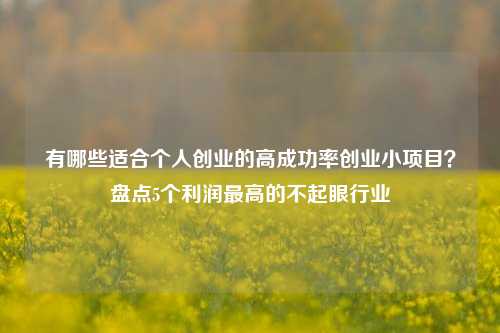 有哪些适合个人创业的高成功率创业小项目？盘点5个利润最高的不起眼行业