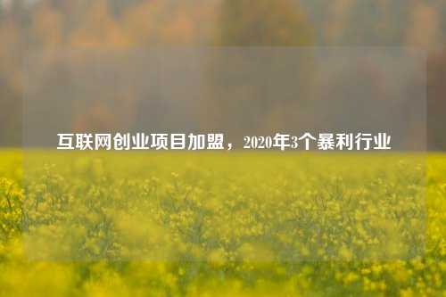 互联网创业项目加盟，2020年3个暴利行业