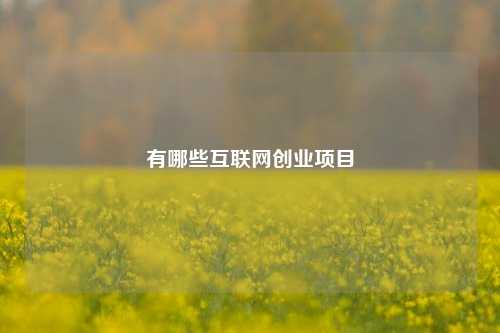 有哪些互联网创业项目