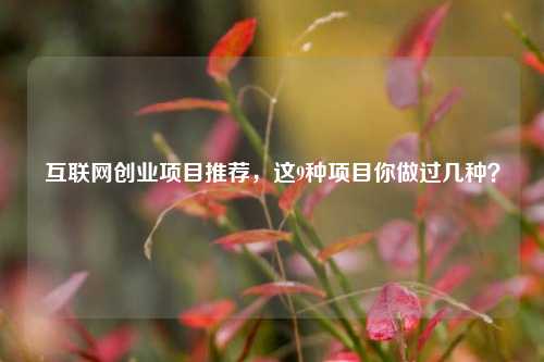 互联网创业项目推荐，这9种项目你做过几种？