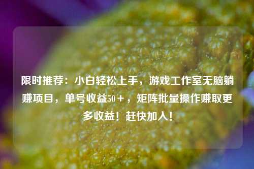 限时推荐：小白轻松上手，游戏工作室无脑躺赚项目，单号收益50＋，矩阵批量操作赚取更多收益！赶快加入！