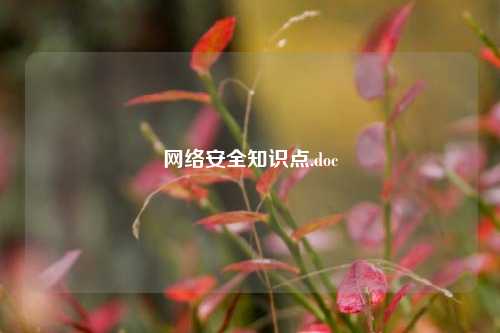 网络安全知识点.doc