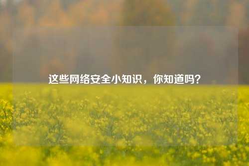 这些网络安全小知识，你知道吗？