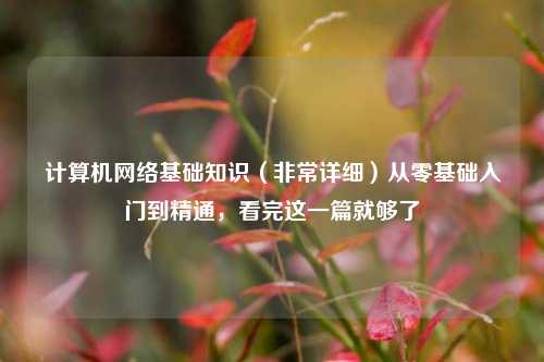 计算机网络基础知识（非常详细）从零基础入门到精通，看完这一篇就够了