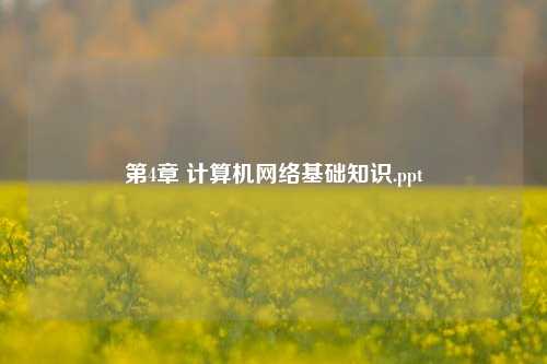 第4章 计算机网络基础知识.ppt
