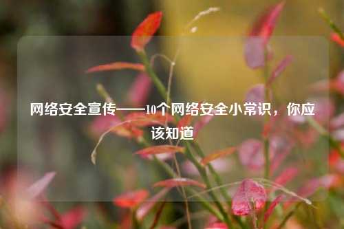 网络安全宣传——10个网络安全小常识，你应该知道