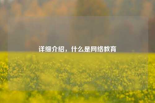 详细介绍，什么是网络教育