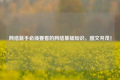网络新手必须要看的网络基础知识，图文并茂！