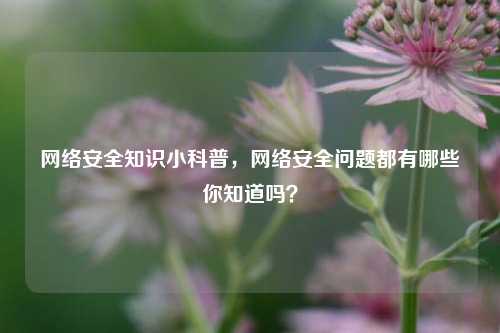 网络安全知识小科普，网络安全问题都有哪些你知道吗？