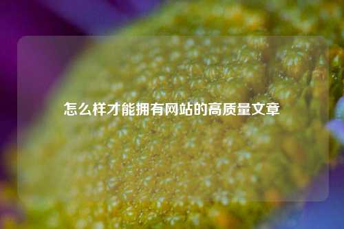 怎么样才能拥有网站的高质量文章
