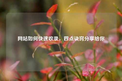 网站如何快速收录，四点诀窍分享给你