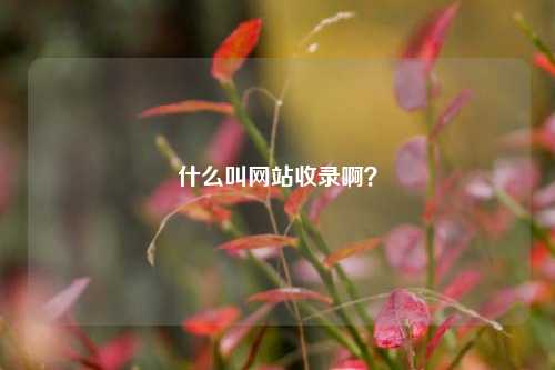 什么叫网站收录啊？