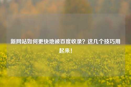 新网站如何更快地被百度收录？这几个技巧用起来！