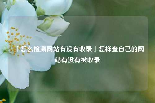 「怎么检测网站有没有收录」怎样查自己的网站有没有被收录