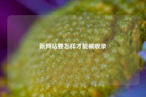 新网站要怎样才能被收录