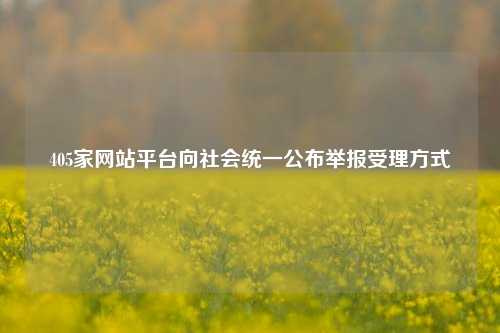 405家网站平台向社会统一公布举报受理方式