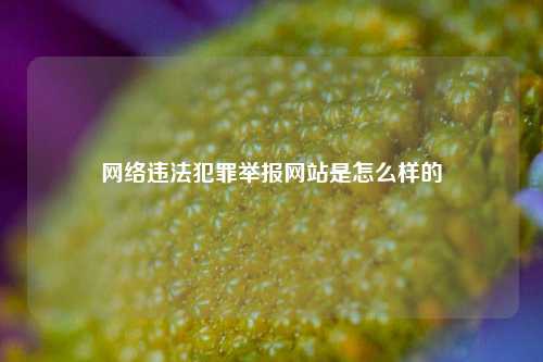 网络违法犯罪举报网站是怎么样的