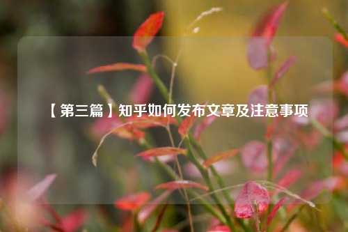 【第三篇】知乎如何发布文章及注意事项