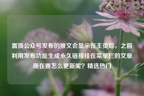 置顶公众号发布的推文会显示在主页后，之前利用发布功能生成永久链接挂在菜单栏的文章现在要怎么更新呢？精选热门