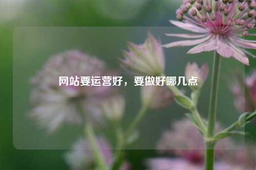 网站要运营好，要做好哪几点
