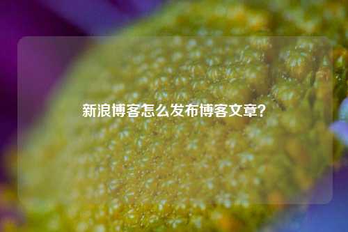 新浪博客怎么发布博客文章？