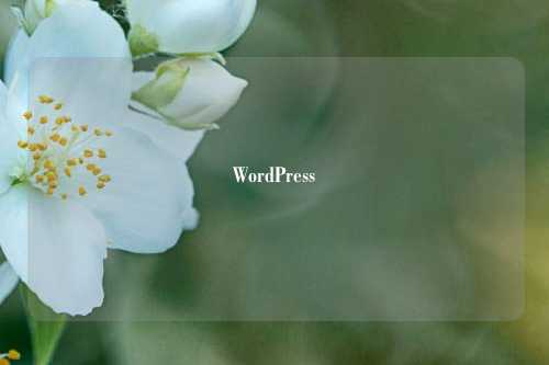 WordPress