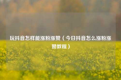 玩抖音怎样能涨粉涨赞（今日抖音怎么涨粉涨赞教程）