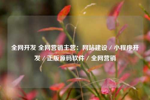 全网开发 全网营销主营：网站建设／小程序开发／正版源码软件／全网营销