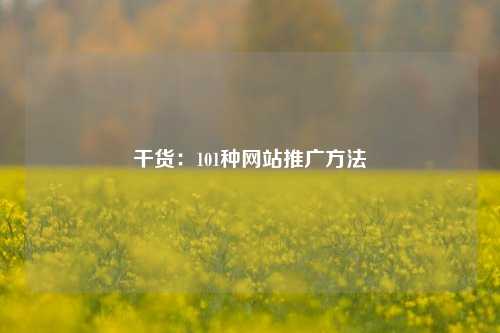 干货：101种网站推广方法