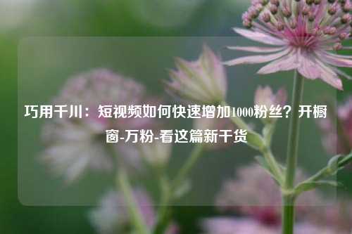 巧用千川：短视频如何快速增加1000粉丝？开橱窗-万粉-看这篇新干货