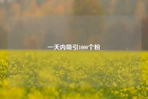 一天内吸引1000个粉
