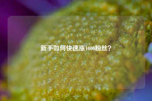 新手如何快速涨1000粉丝？