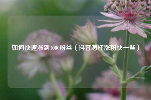 如何快速涨到1000粉丝（抖音怎样涨粉快一些）