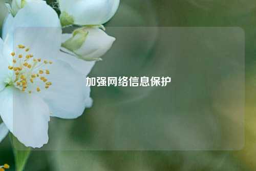 加强网络信息保护