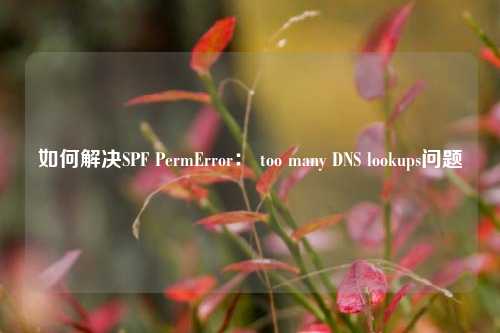 如何解决SPF PermError： too many DNS lookups问题