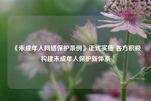 《未成年人网络保护条例》正式实施 各方积极构建未成年人保护新体系