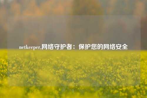 netkeeper,网络守护者：保护您的网络安全
