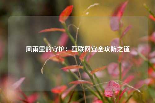 风雨里的守护：互联网安全攻防之道