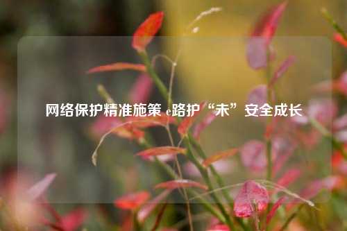 网络保护精准施策 e路护“未”安全成长