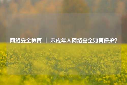 网络安全教育 ｜ 未成年人网络安全如何保护？