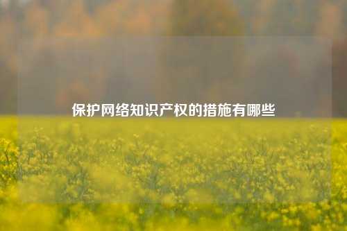 保护网络知识产权的措施有哪些