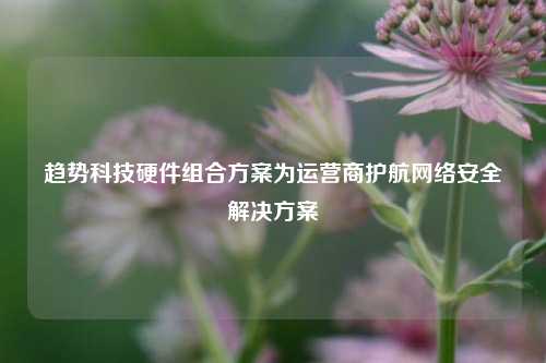 趋势科技硬件组合方案为运营商护航网络安全解决方案