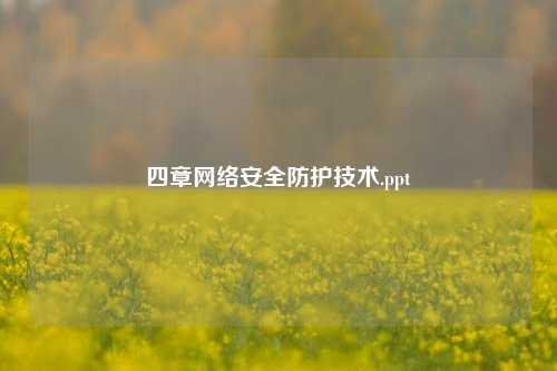 四章网络安全防护技术.ppt