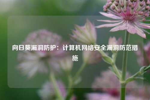 向日葵漏洞防护：计算机网络安全漏洞防范措施