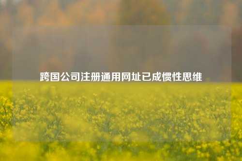 跨国公司注册通用网址已成惯性思维