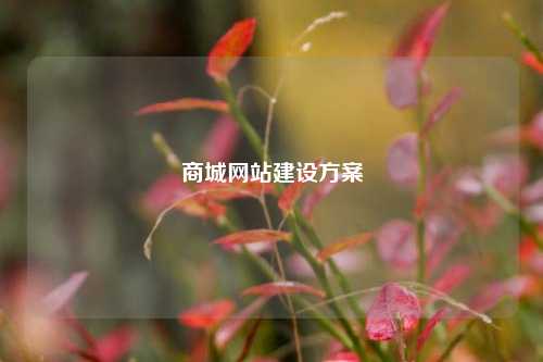 商城网站建设方案