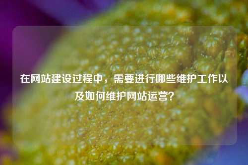 在网站建设过程中，需要进行哪些维护工作以及如何维护网站运营？