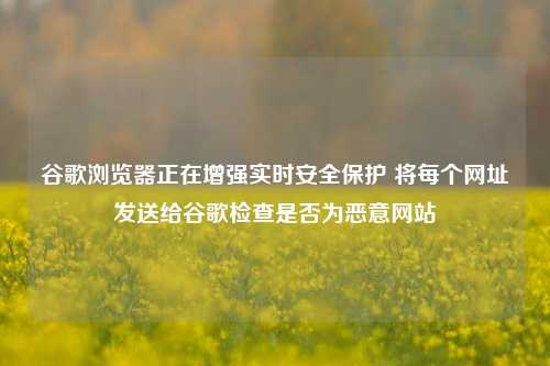 谷歌浏览器正在增强实时安全保护 将每个网址发送给谷歌检查是否为恶意网站