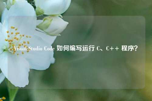 Visual Studio Code 如何编写运行 C、C++ 程序？